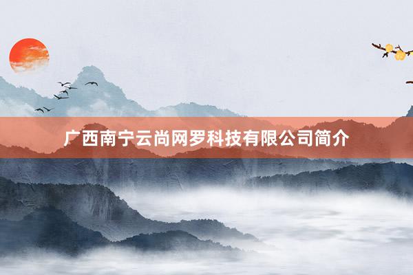 广西南宁云尚网罗科技有限公司简介